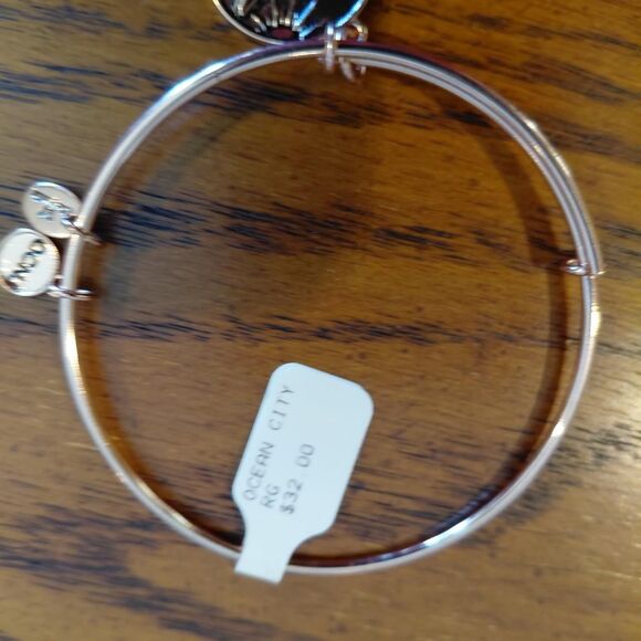 alex-and-ani Jewelry - NWT, Christmas Gift. Alex-and-ani Women's Jewelry